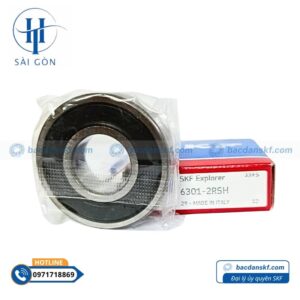 skf 6301 2rsh