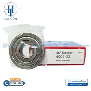 skf 6004 2z