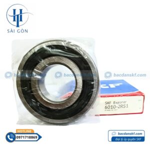 skf 6010 2rs1