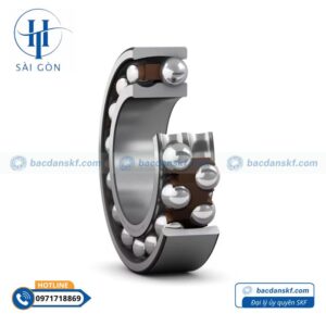 Vòng bi SKF 1205 EKTN9/C3