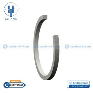 Phớt 265X290X16 CRSH13 R