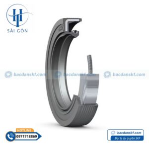 Phớt 35X80X12 HMSA10RG