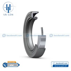 Phớt 20x40x8 HMSA10 RG