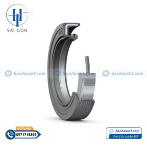 Phớt 65x100x10 HMSA10RG