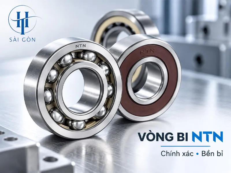 Bạc đạn NTN có nhiều kiểu khác nhau