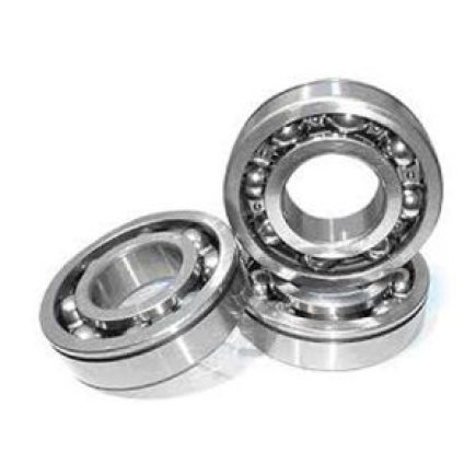 VONG-BI-SKF-61900.jpg