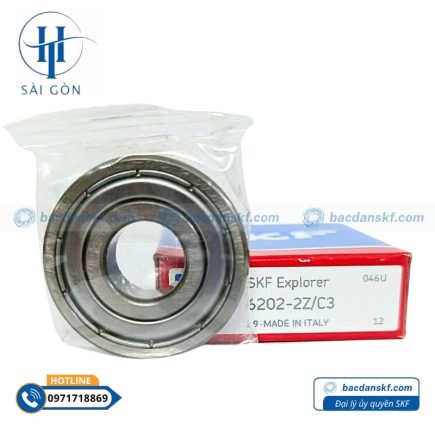 skf 6202 2z c3